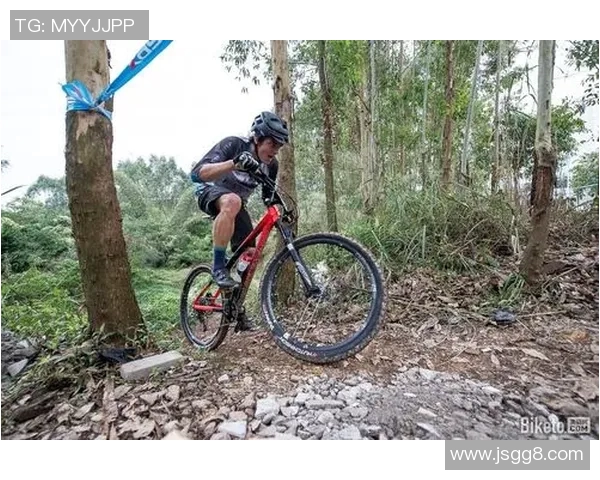 上海极限运动队的独特节奏与战术解析深度剖析 上海极限运动队的独特节奏与战术解析深度剖析