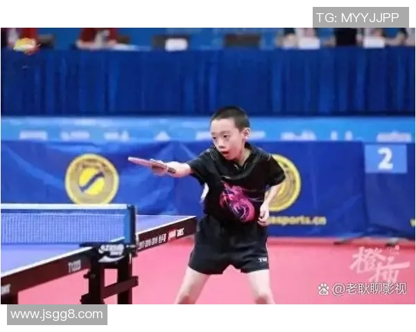 杭州乒乓球队引领潮流最新乒乓球意识TOP10全解析