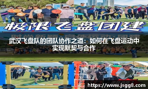 武汉飞盘队的团队协作之道：如何在飞盘运动中实现默契与合作