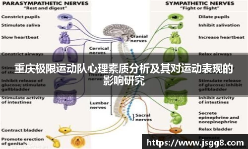 重庆极限运动队心理素质分析及其对运动表现的影响研究